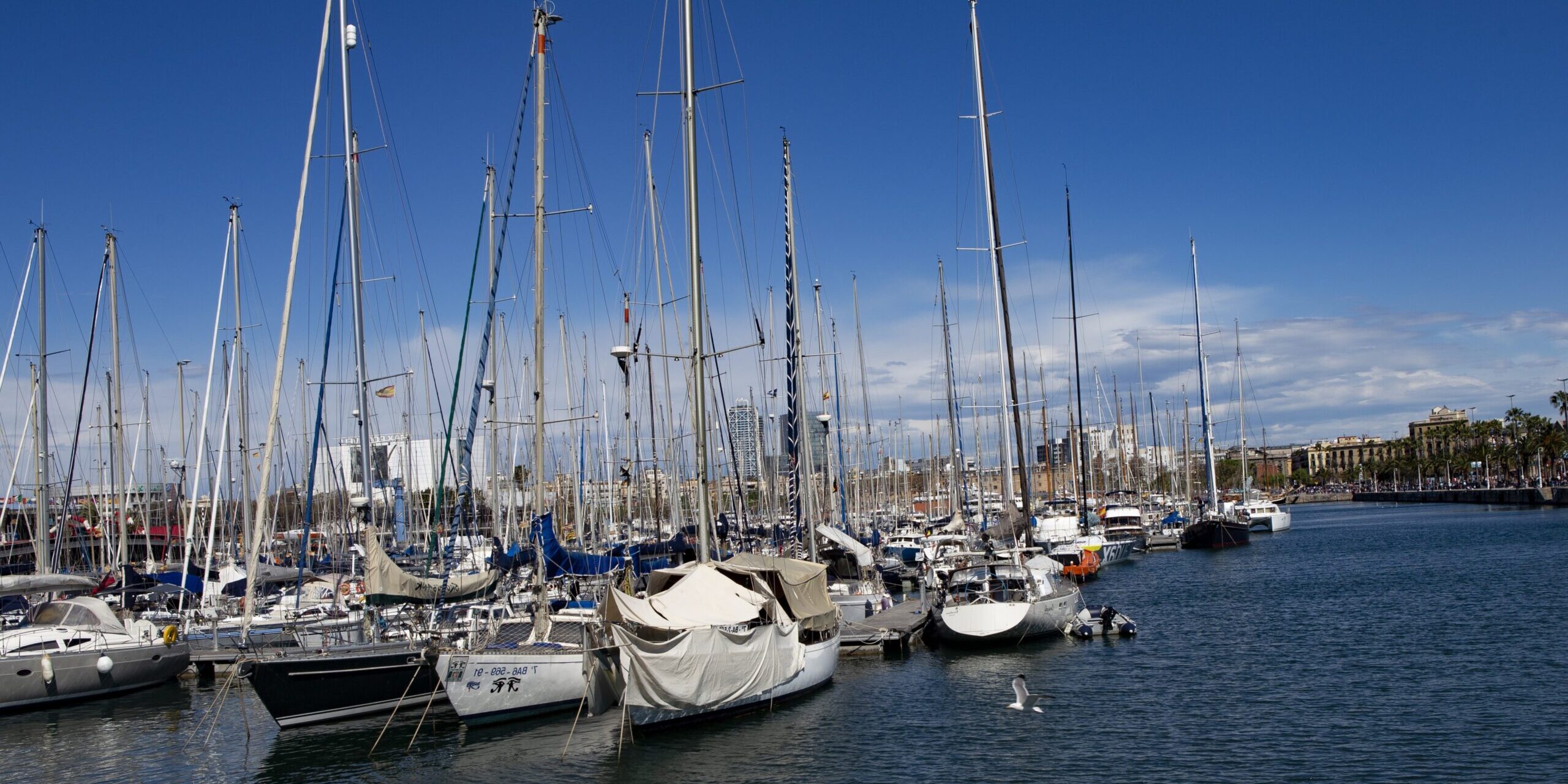 recambios para industria náutica en valencia- muchos barcos recambios para industria náutica en valencia- muchos barcos